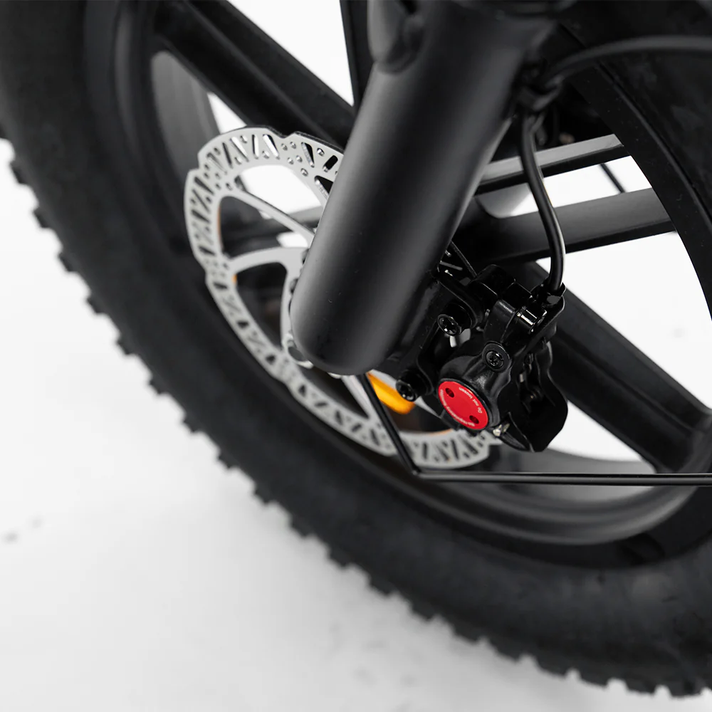 mini fatbike hydraulische remmen
